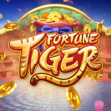 sai kung x wse - Slots Casino ícone